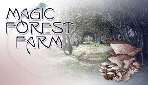 Jobs in Magic Forest Farm - reviews